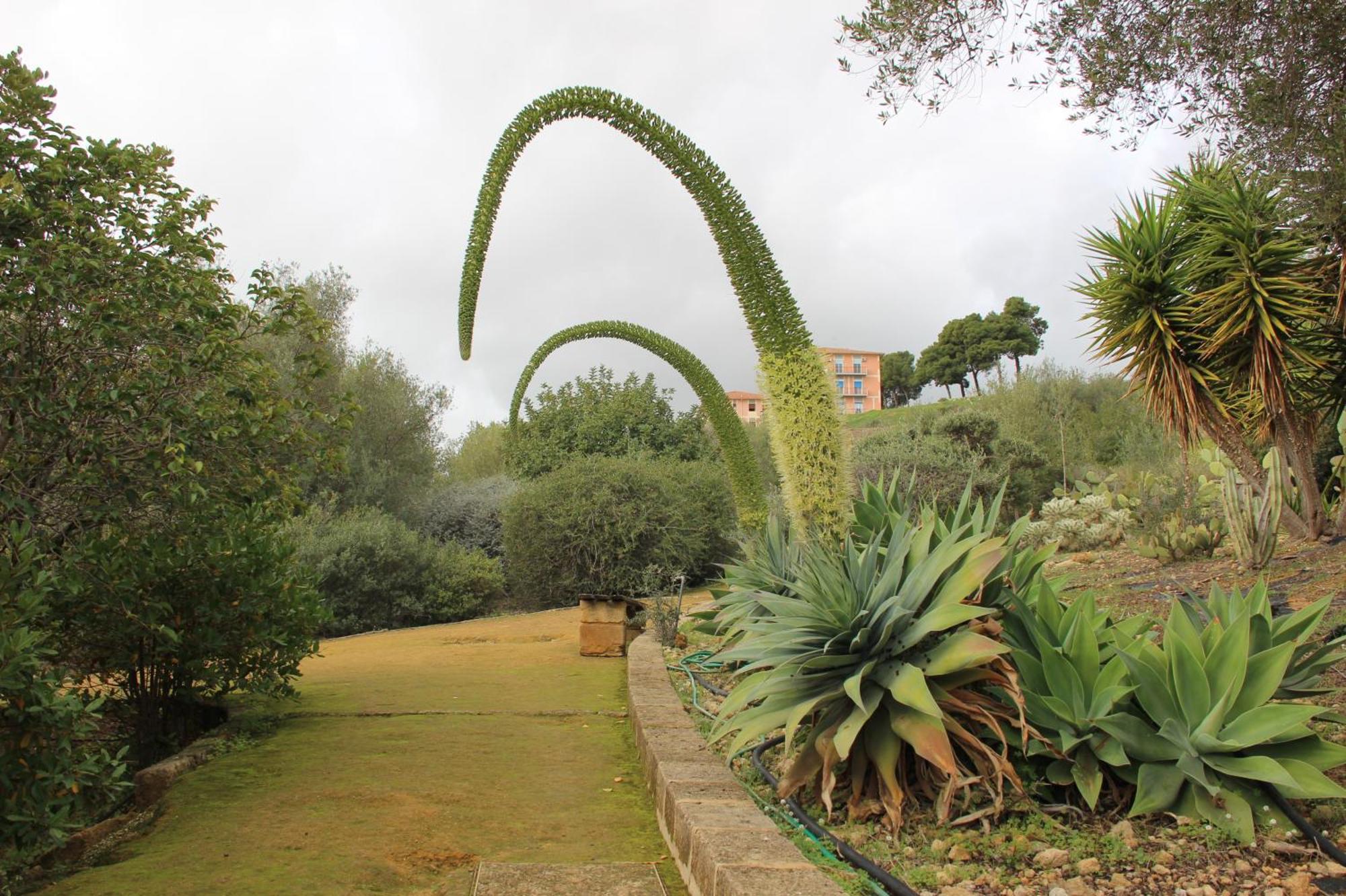 B&B Villa Adriana San Leone Exterior foto